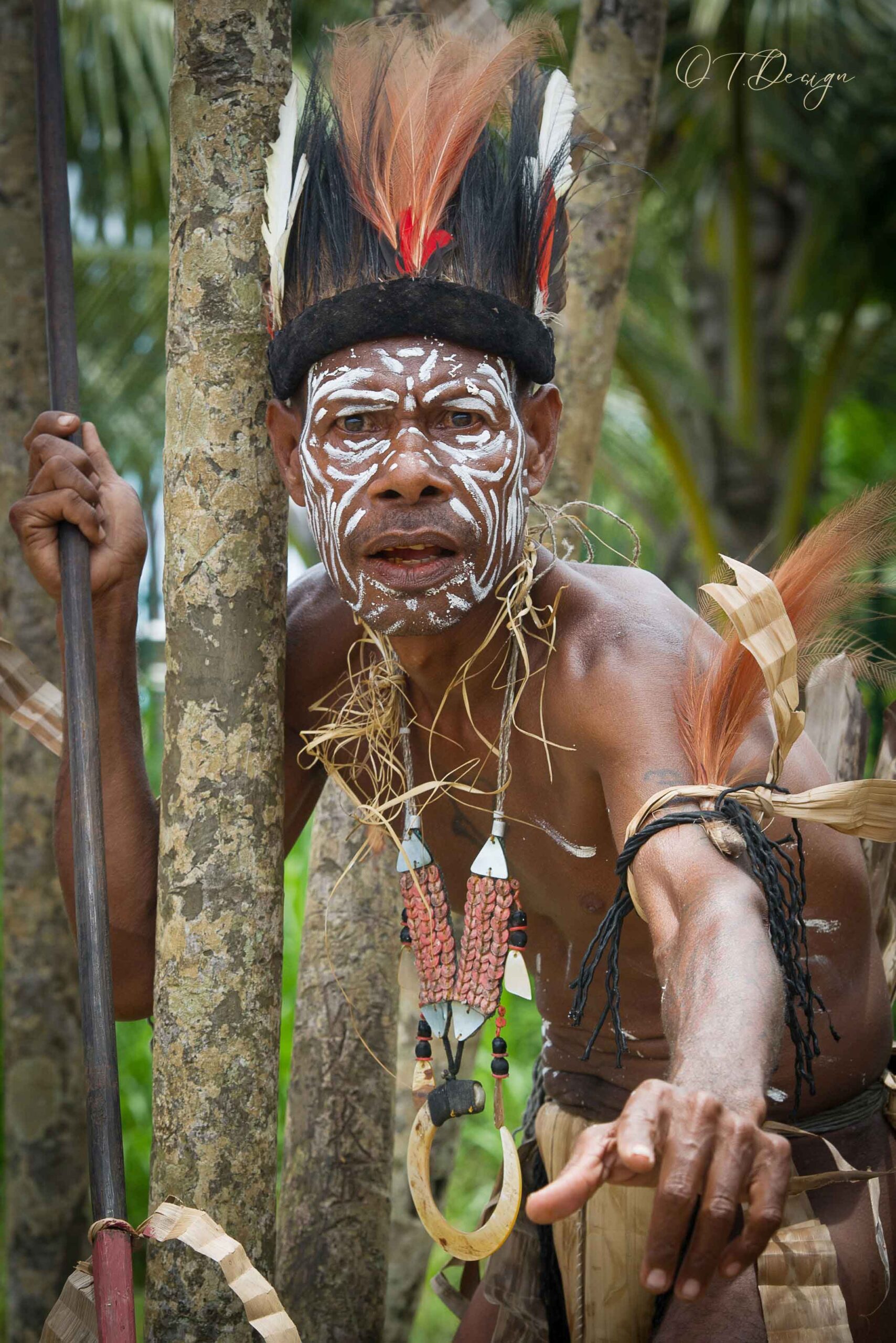 Man dressed like an indigenous warrior in Alotau, Papua New Guinea