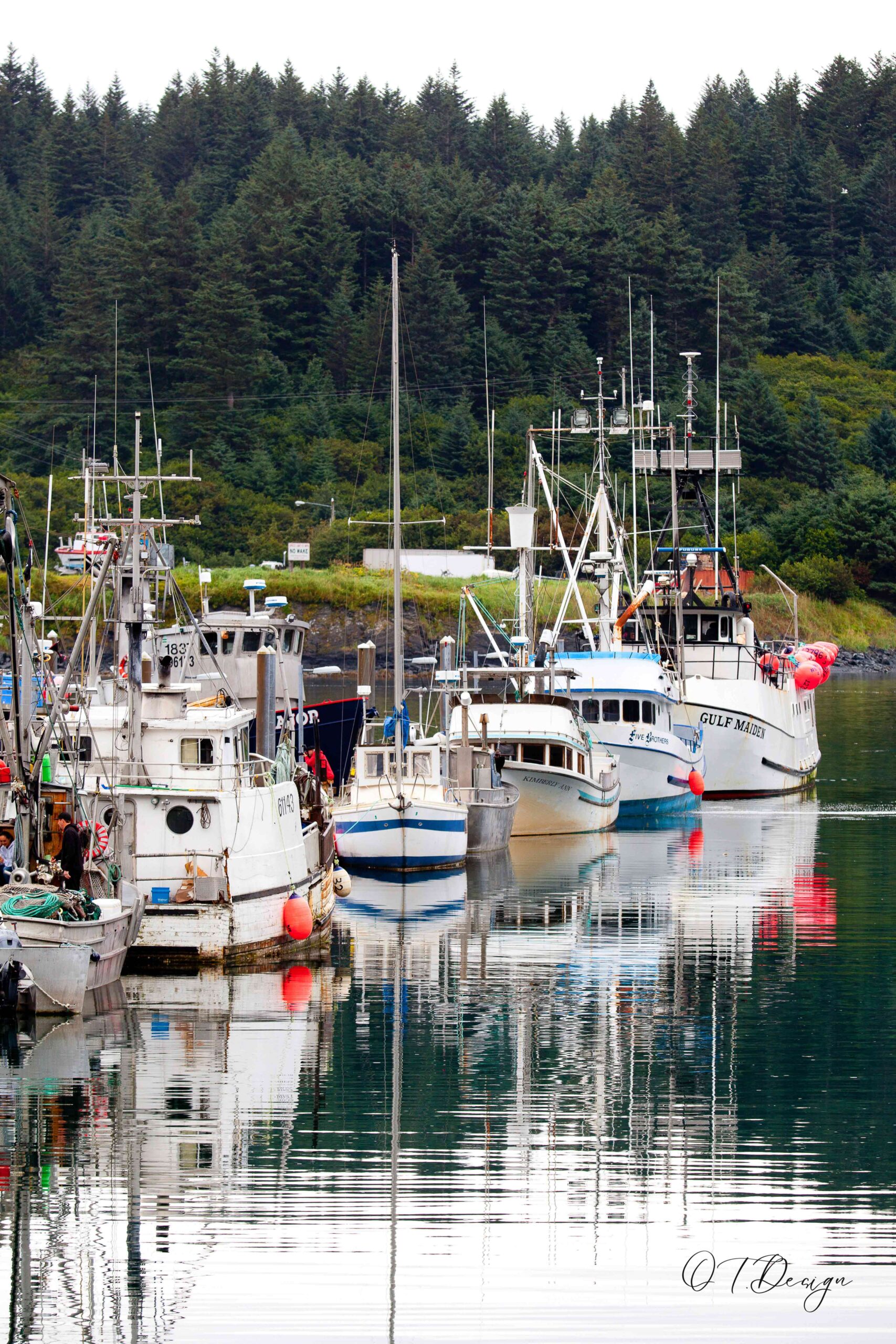 Kodiak's Boats Aligned in Nautical Elegance