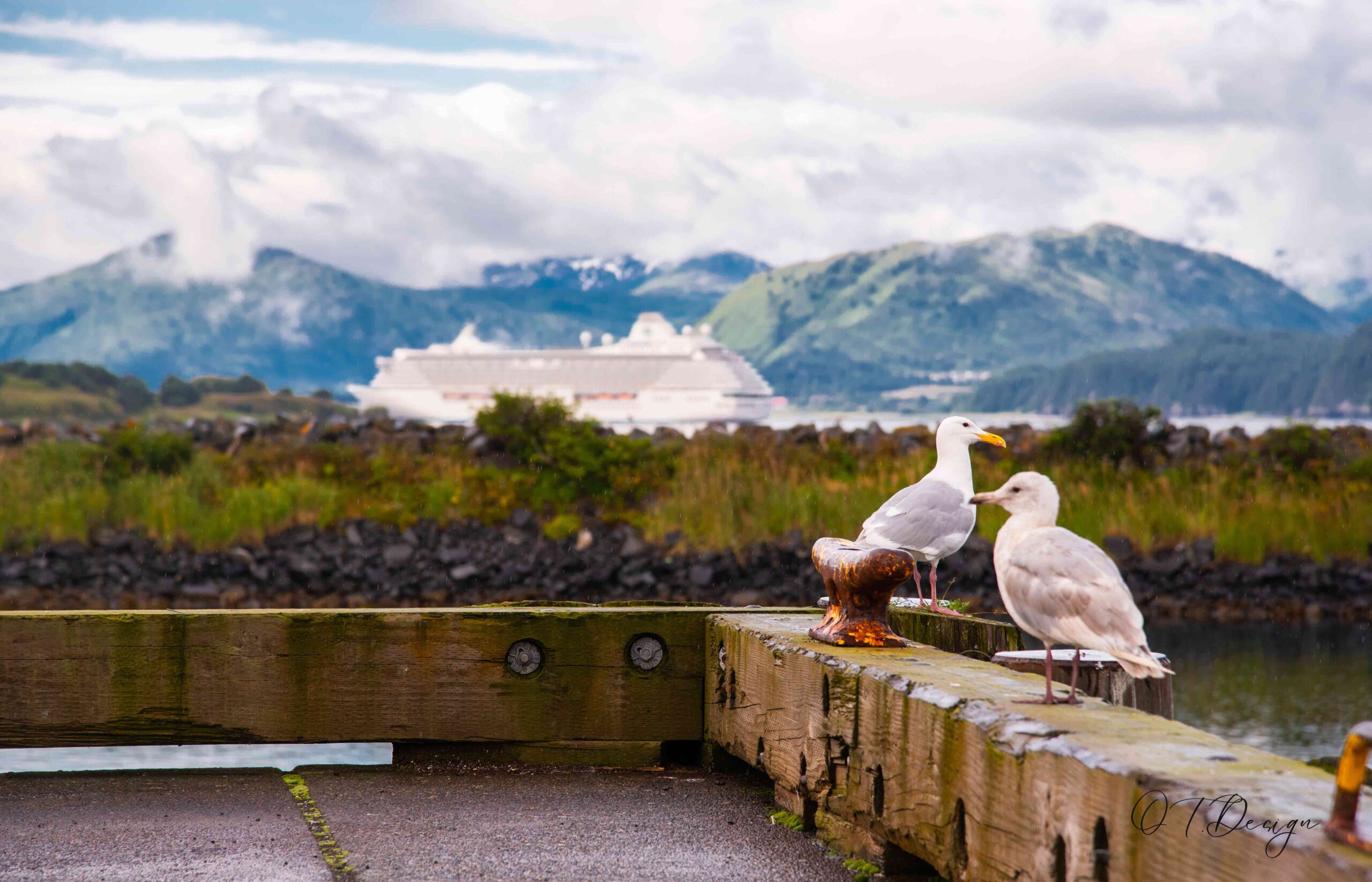 Two seagles guarding the bay of Kodiak, Alaska