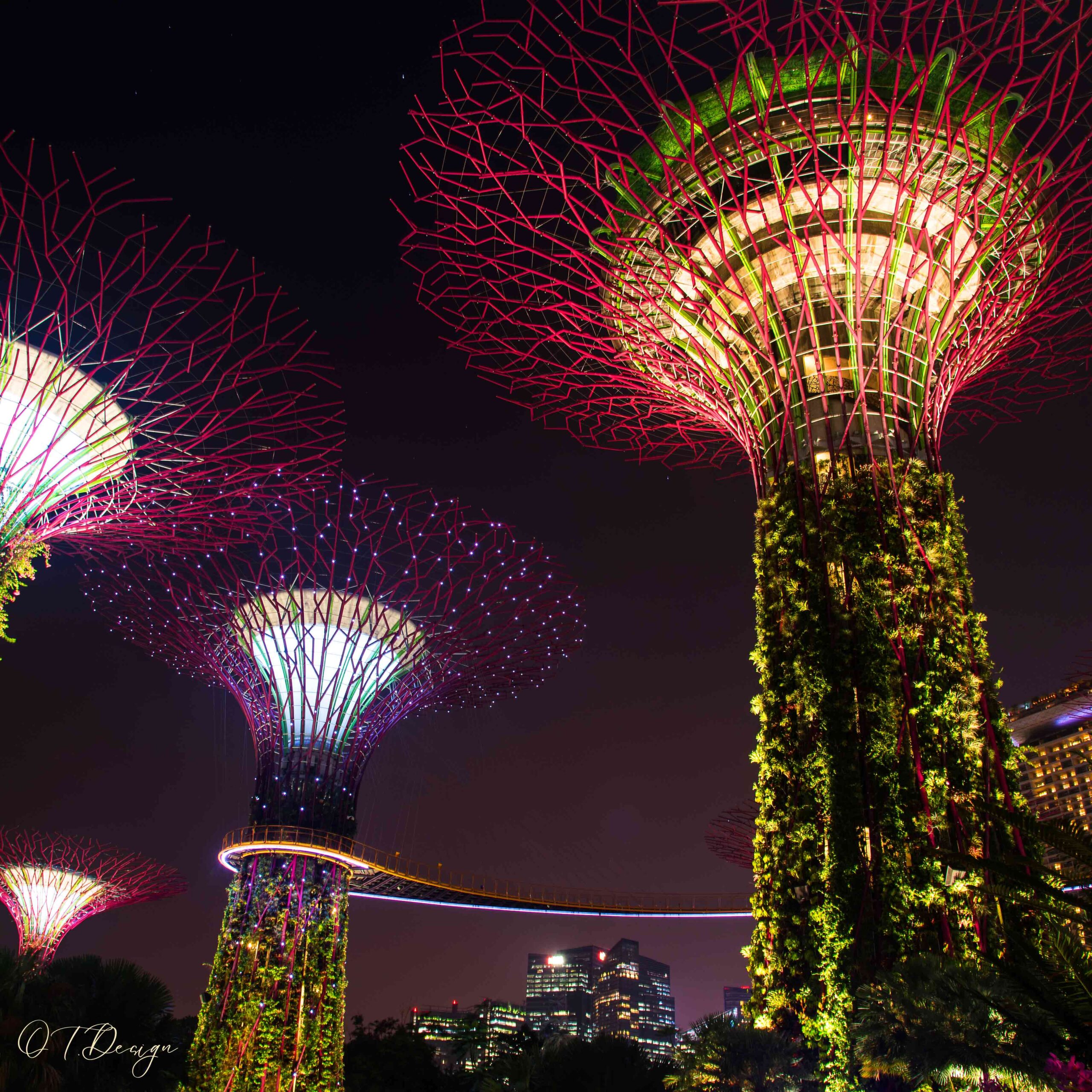 Botanic gardens' lights at night in Singapore