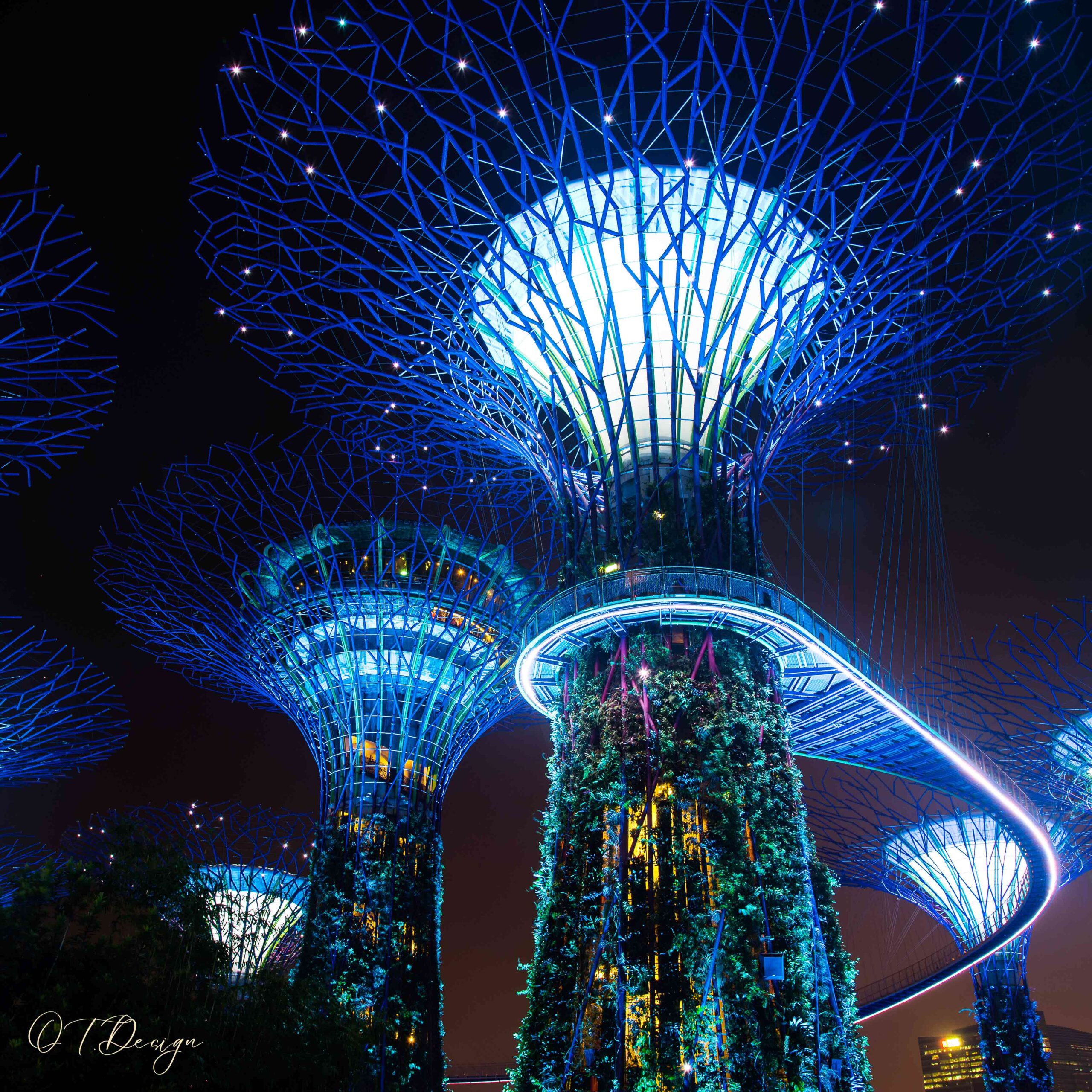 Botanic gardens' lights at night in Singapore