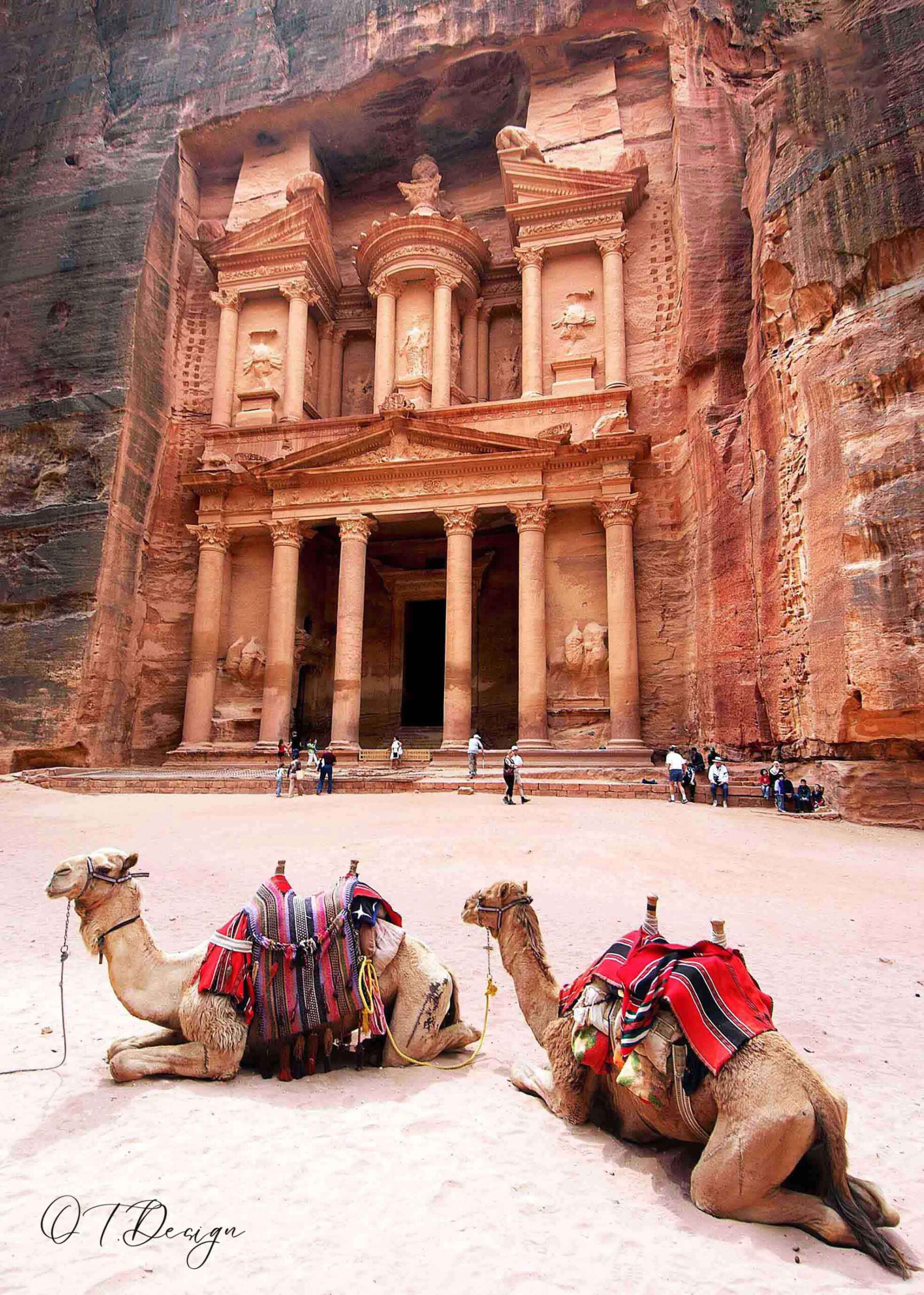 Two camels sitting in front of Petra, Jordan